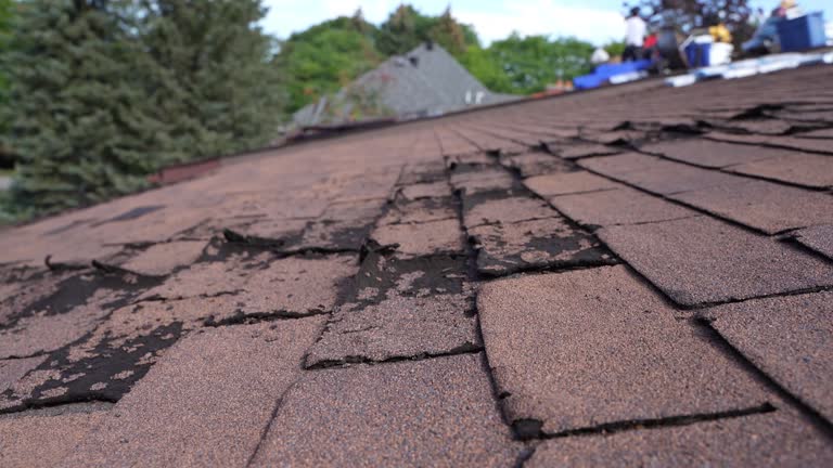 Fast & Reliable Emergency Roof Repairs in Delano, MN